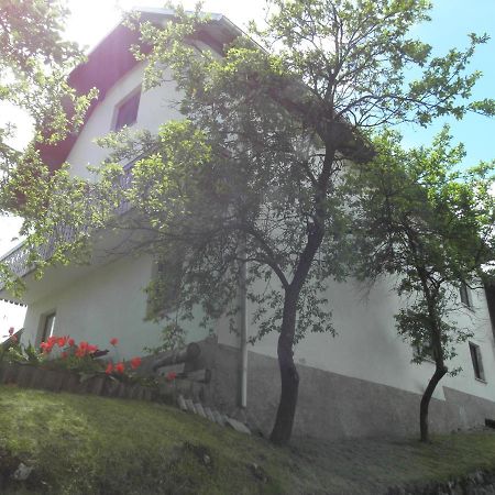 Pr' Hribar Apartment Zgornje Gorje Екстериор снимка