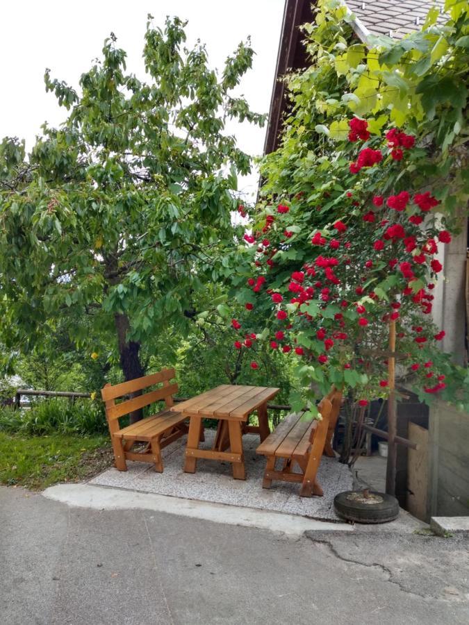Pr' Hribar Apartment Zgornje Gorje Екстериор снимка