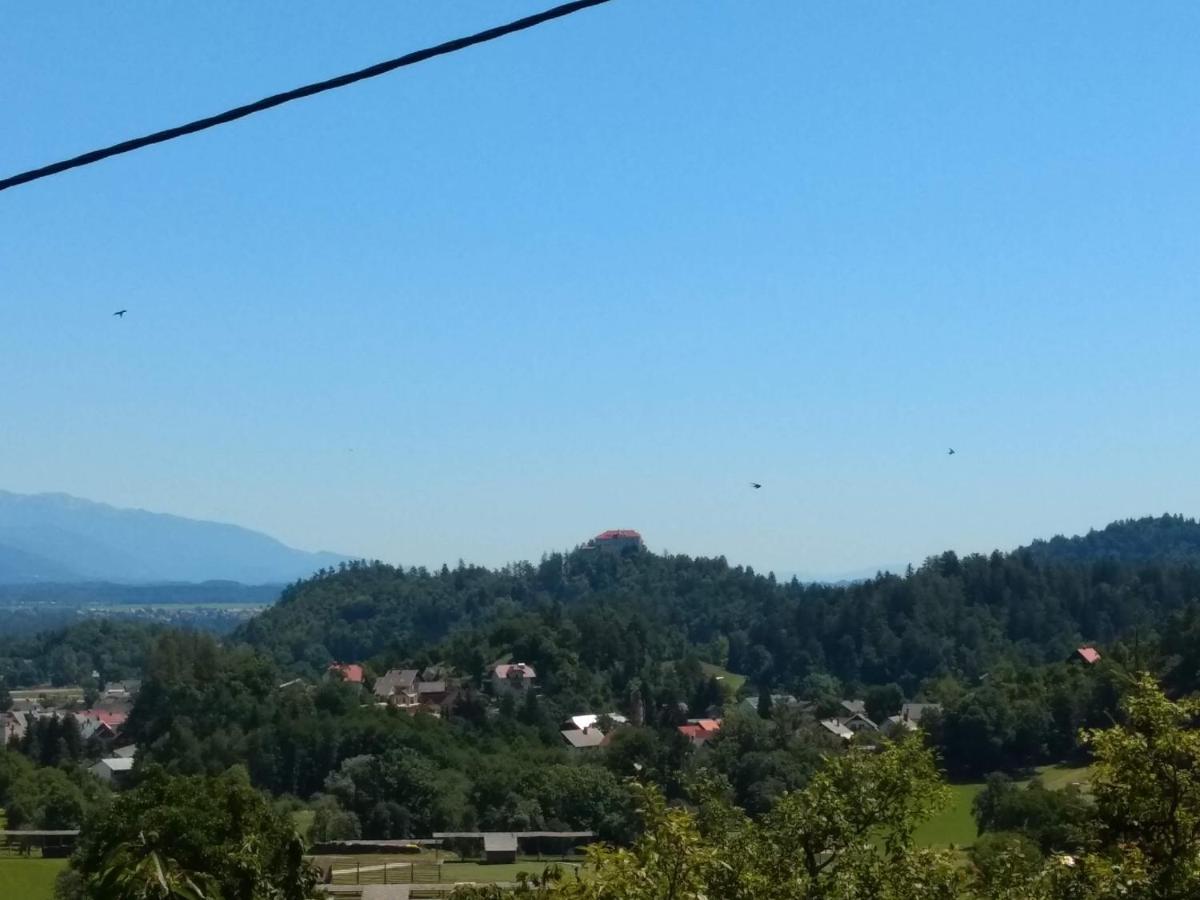 Pr' Hribar Apartment Zgornje Gorje Екстериор снимка