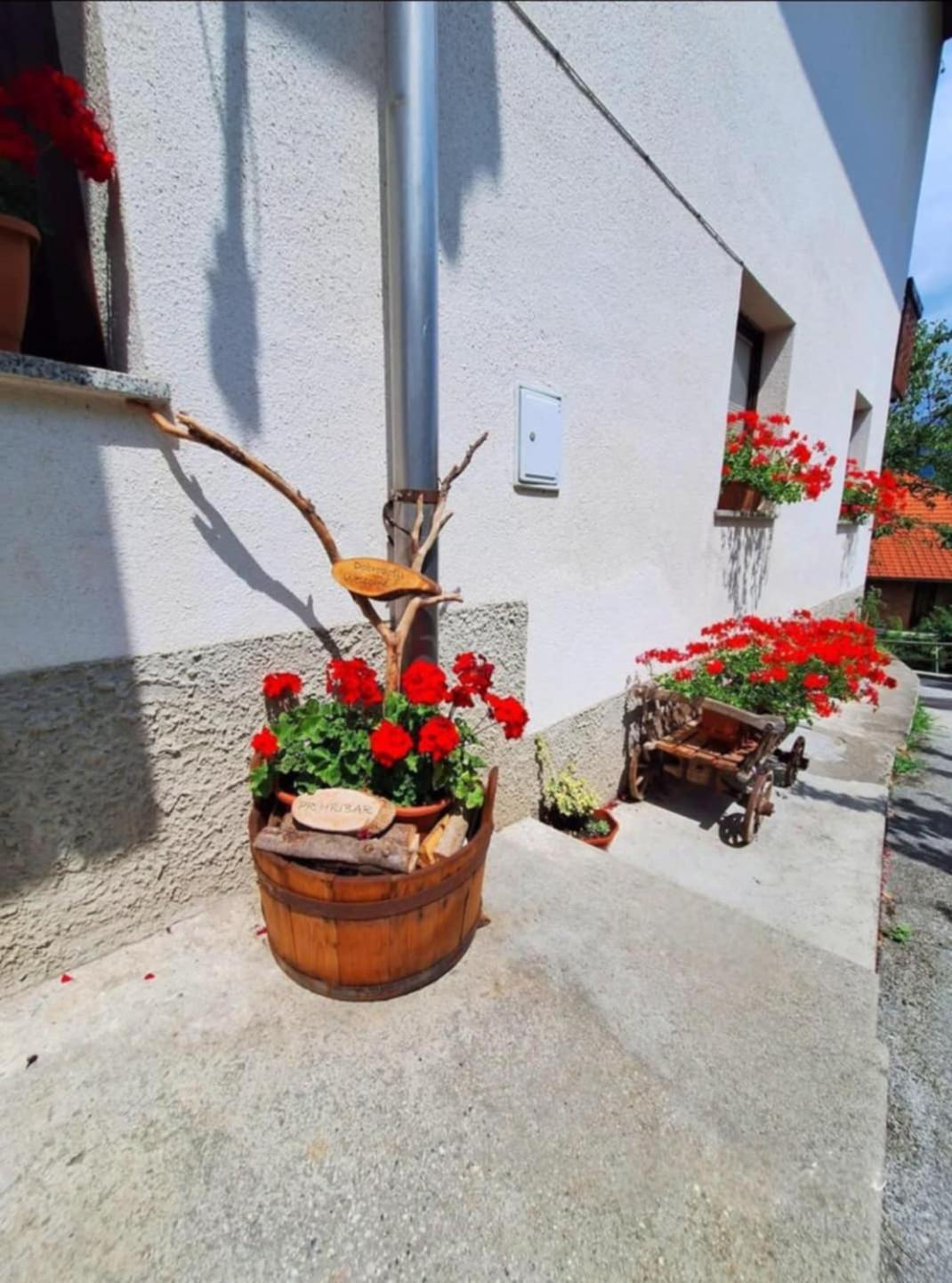 Pr' Hribar Apartment Zgornje Gorje Екстериор снимка