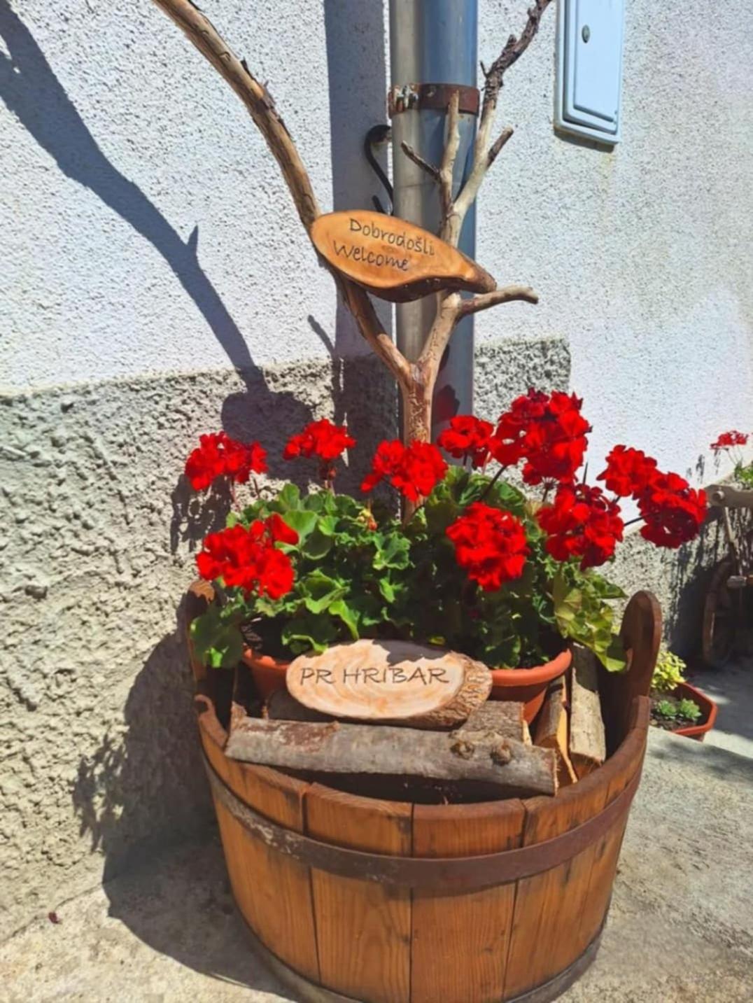 Pr' Hribar Apartment Zgornje Gorje Екстериор снимка