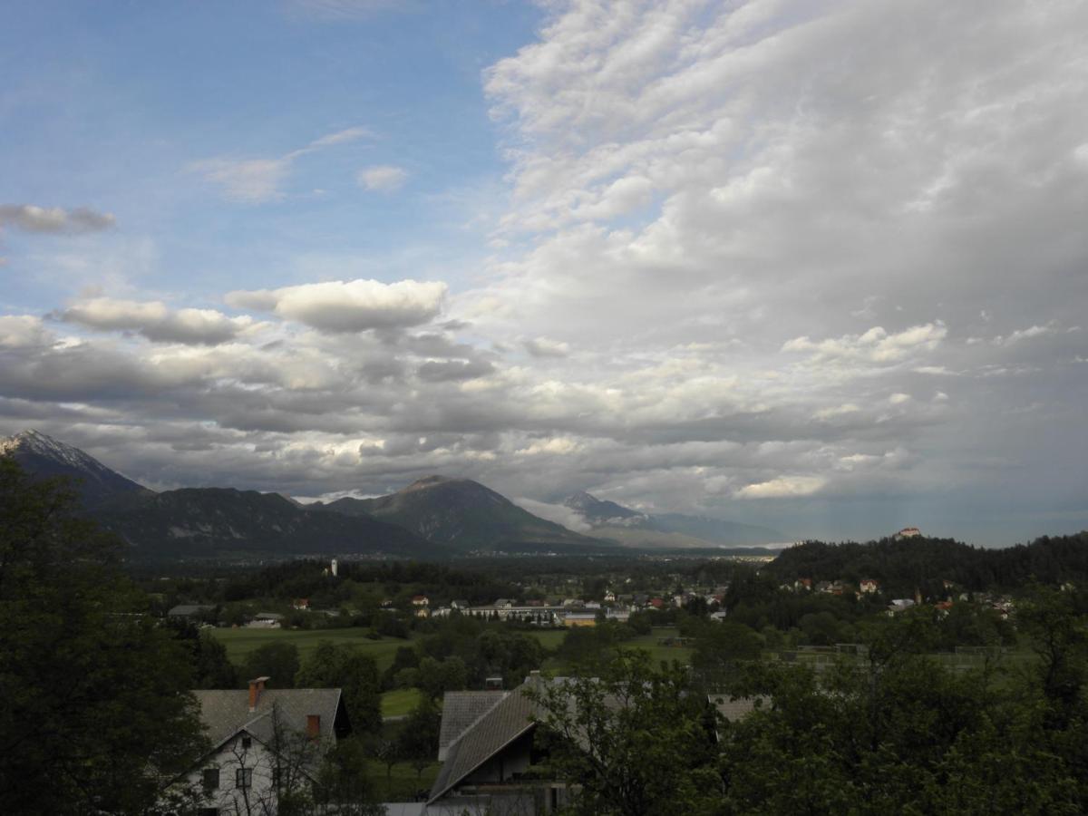 Pr' Hribar Apartment Zgornje Gorje Екстериор снимка