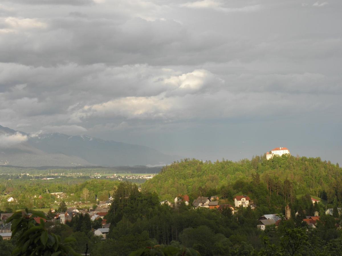 Pr' Hribar Apartment Zgornje Gorje Екстериор снимка